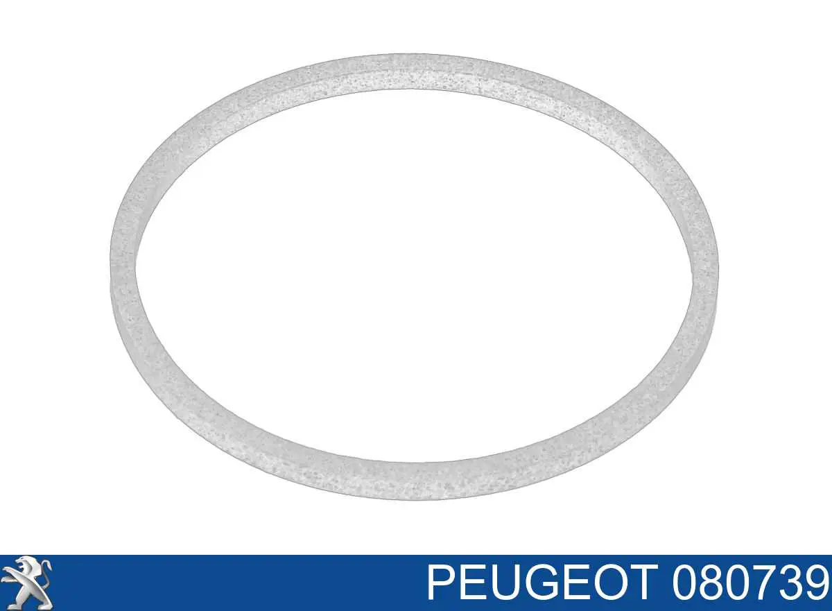 Vedação dianteira da árvore distribuidora de motor para Peugeot 308 (4A, 4C)