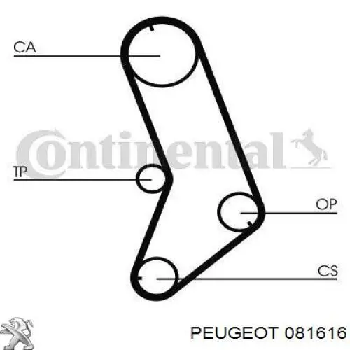 081616 Peugeot/Citroen ремень грм