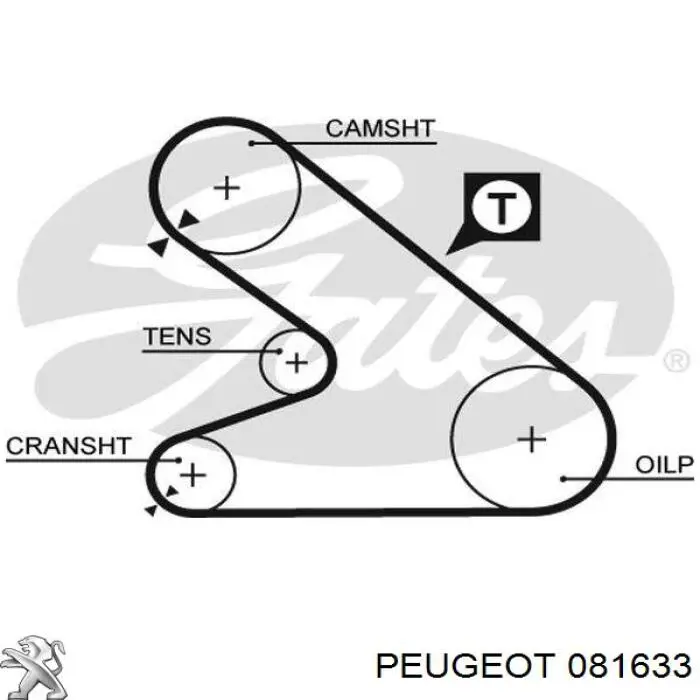 Купить 081633 Peugeot/Citroen Ремень газораспределительного механизма
