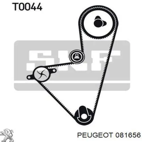 Ремень ГРМ 081656 Peugeot/Citroen