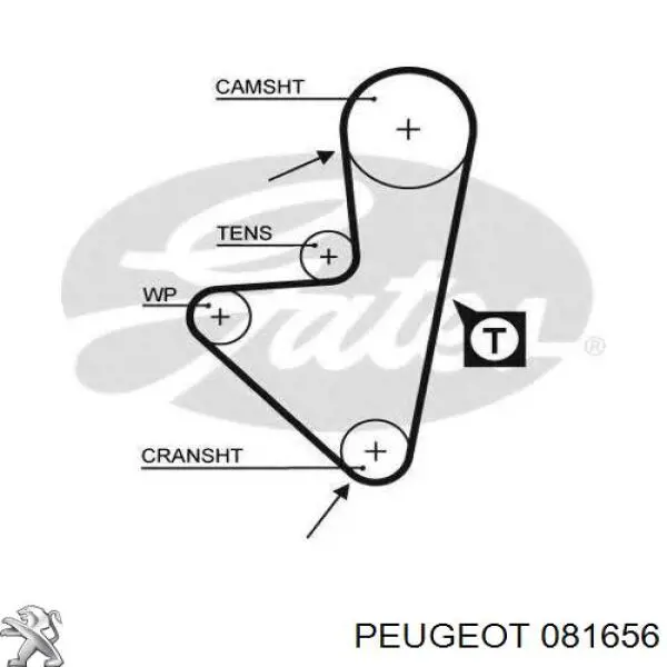 Зубчатый ремень Peugeot/Citroen 081656 цена, от 8.83 USD