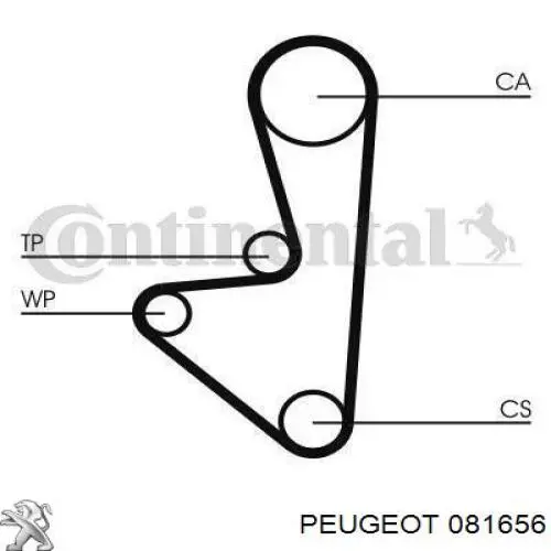 Купить 081656 Peugeot/Citroen Ремень газораспределительного механизма
