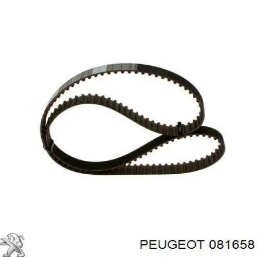 Купить 081658 Peugeot/Citroen Комплект ГРМ