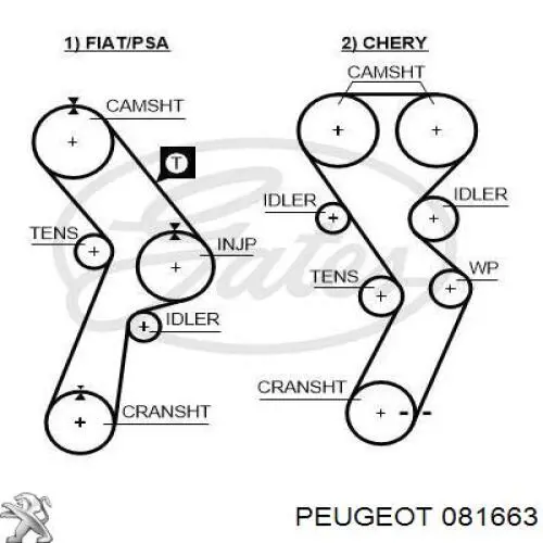 Ремень ГРМ 081663 Peugeot/Citroen