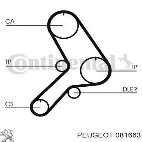 Ремень ГРМ 081663 Peugeot/Citroen