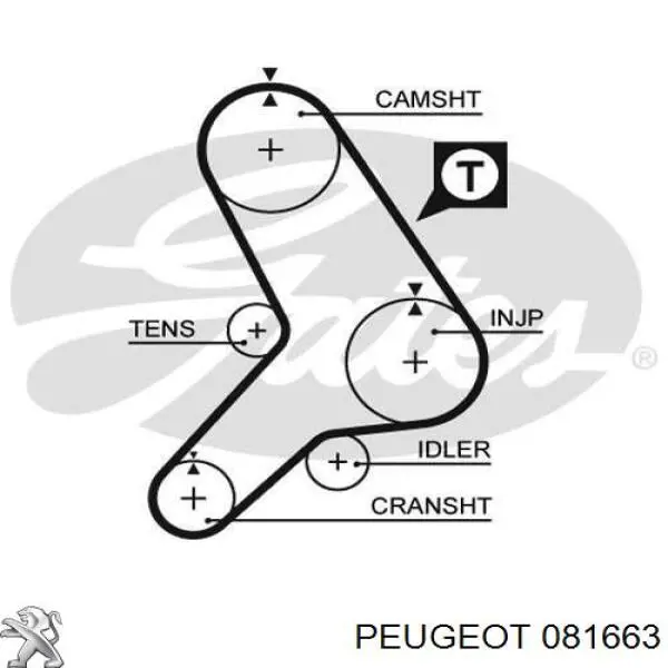 Зубчатый ремень Peugeot/Citroen 081663 цена, от 15.36 USD