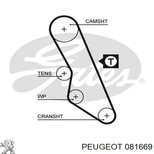 081669 Peugeot/Citroen ремень грм