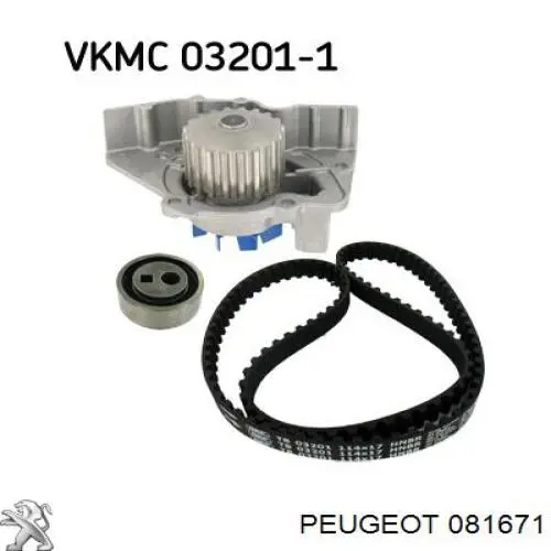 Купить 081671 Peugeot/Citroen Ремень газораспределительного механизма