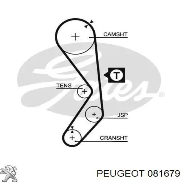 081679 Peugeot/Citroen ремень грм