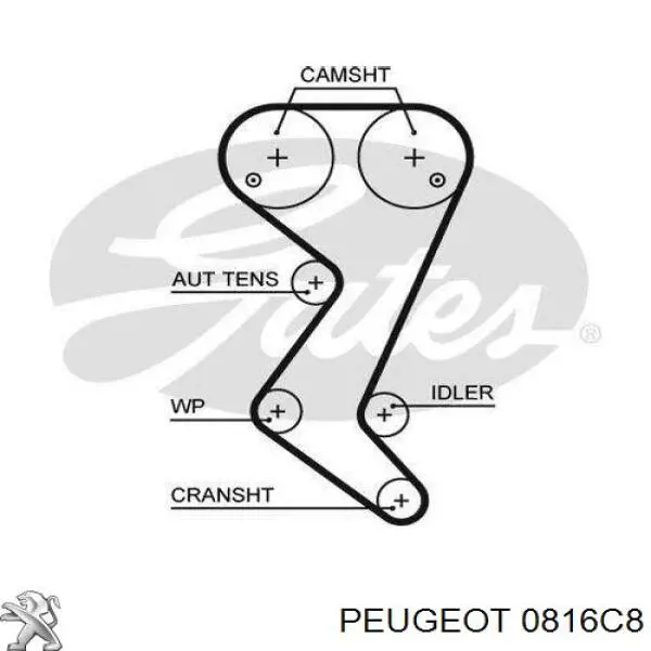 Ремень ГРМ 0816C8 Peugeot/Citroen