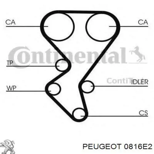 0816E2 Peugeot/Citroen ремень грм