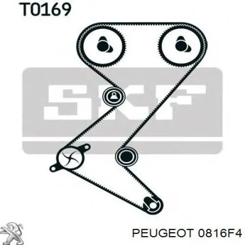 Купить 0816F4 Peugeot/Citroen Ремень газораспределительного механизма
