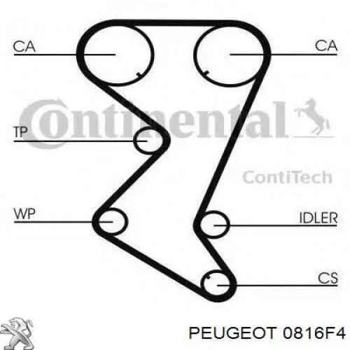 Ремень ГРМ Peugeot/Citroen 0816F4