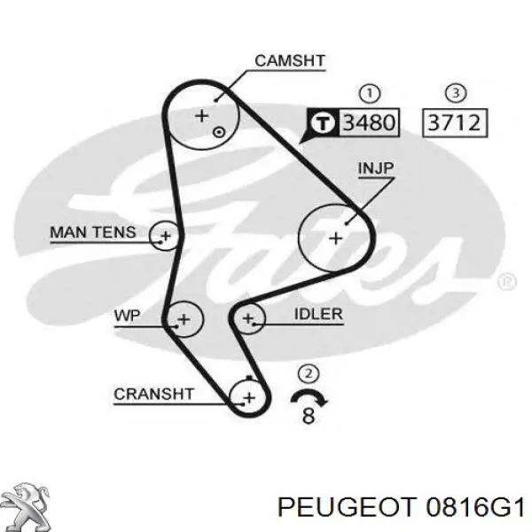 Ремень ГРМ Peugeot/Citroen 0816G1