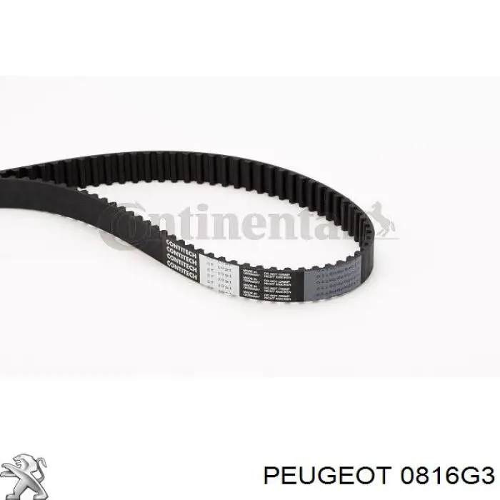 0816G3 Peugeot/Citroen ремень грм