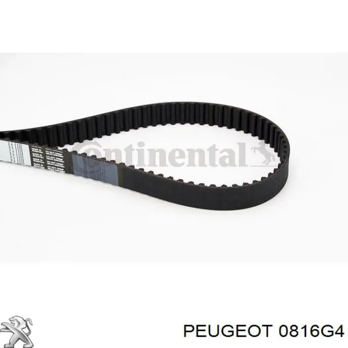 0816G4 Peugeot/Citroen ремень грм