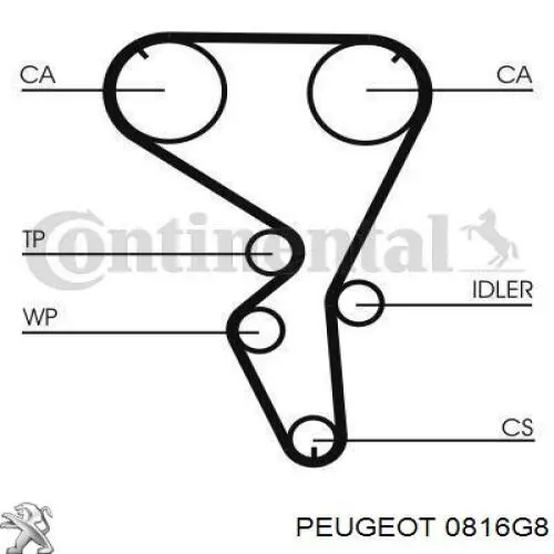 Ремень ГРМ 0816G8 Peugeot/Citroen