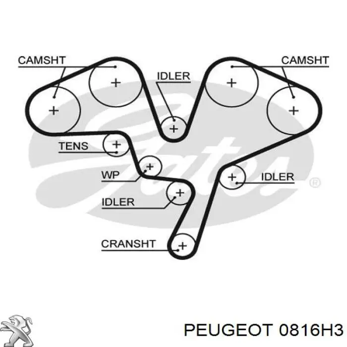 0816H3 Peugeot/Citroen ремень грм