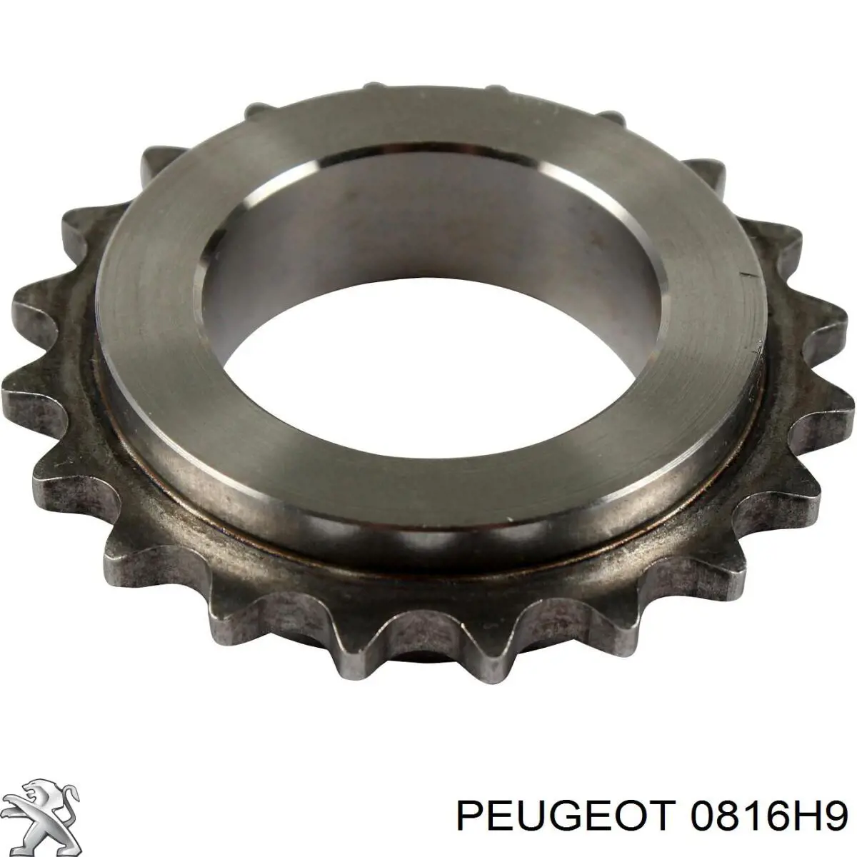 Ремкомплект ГРМ Peugeot/Citroen 0816H9 цена, от 124.52 USD