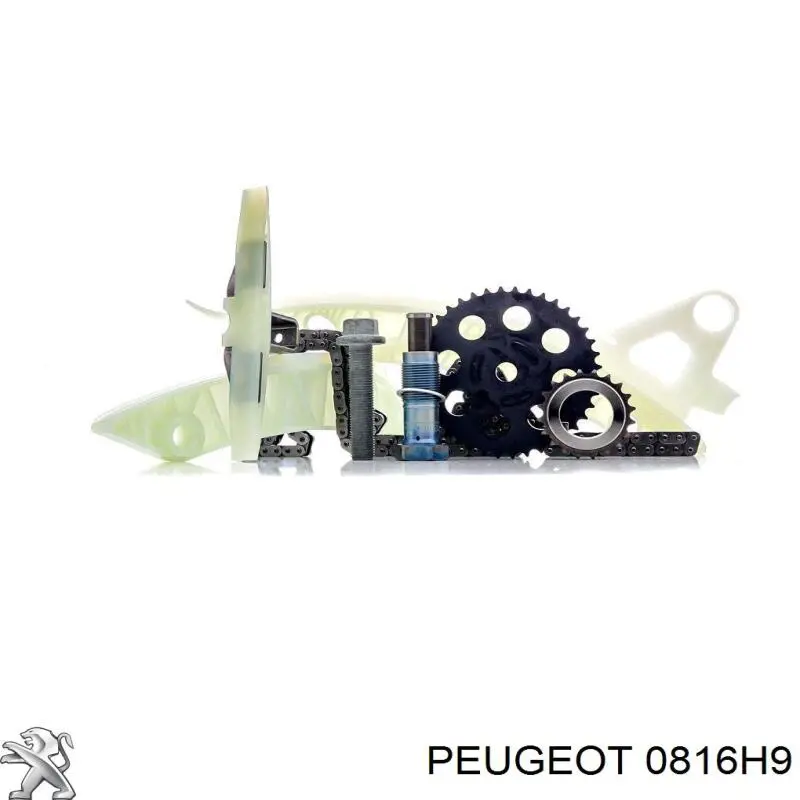 Купить 0816H9 Peugeot/Citroen Набор цепи грм