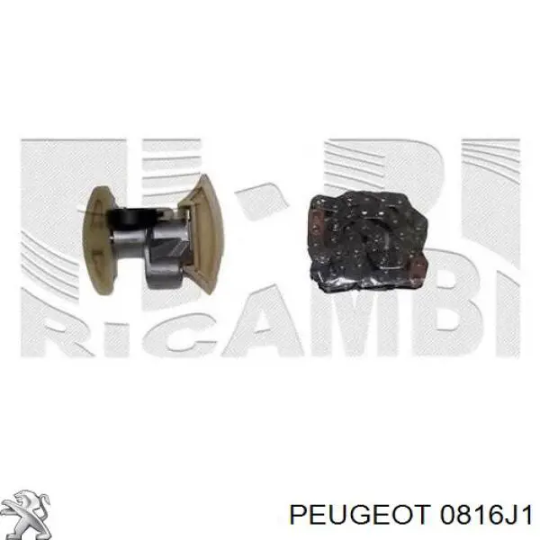 0816J1 Peugeot/Citroen Цепь ГРМ, комплект, верхняя