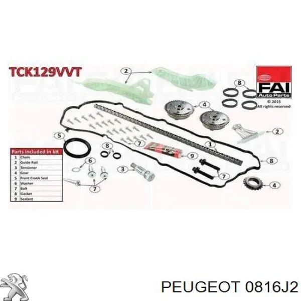 0816J2 Peugeot/Citroen cadeia do mecanismo de distribuição de gás