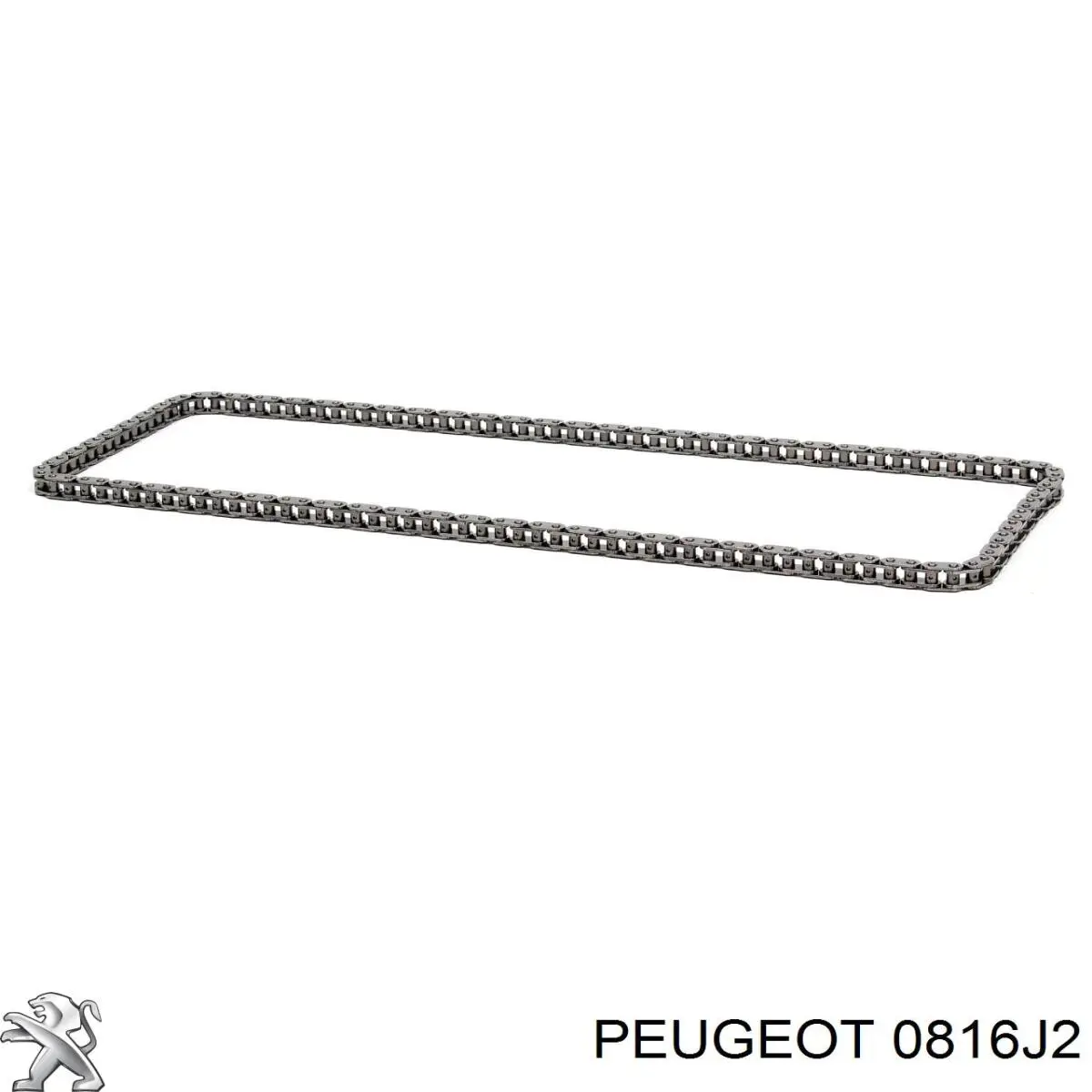 0816J2 Peugeot/Citroen Цепь