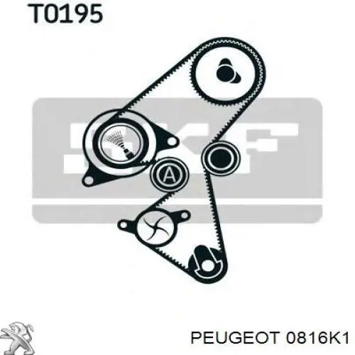 Купить 0816K1 Peugeot/Citroen Ремень газораспределительного механизма