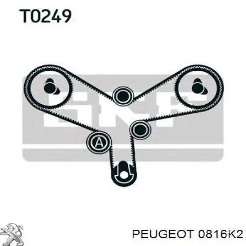 ГРМ ремни Peugeot/Citroen 0816K2