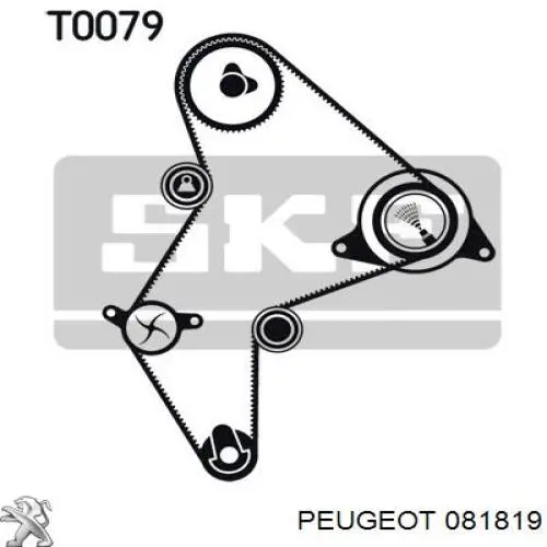 Купить 081819 Peugeot/Citroen Ролик натяжителя газораспределительного ремня