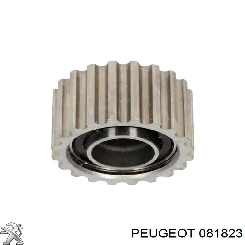 Ролик ремня ГРМ, паразитный Peugeot/Citroen 081823