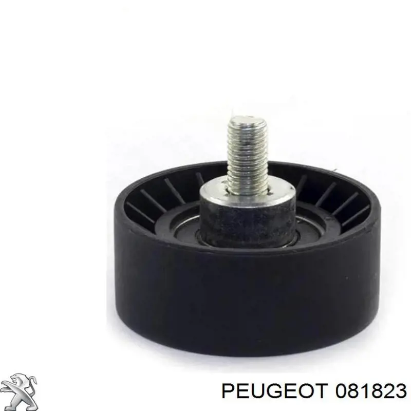 081823 Peugeot/Citroen Паразитный ведущий ролик