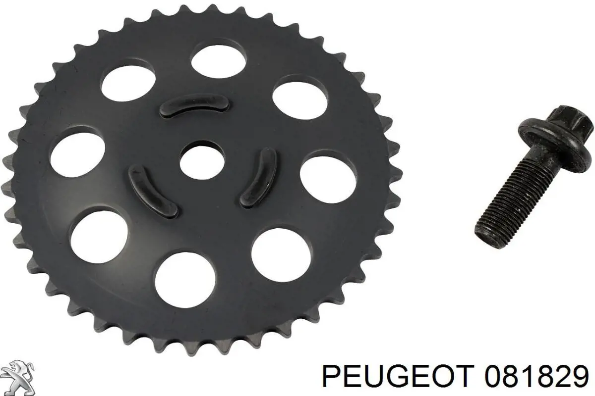 Успокоитель цепи ГРМ, верхний Peugeot/Citroen 081829 цена, от 9.94 USD