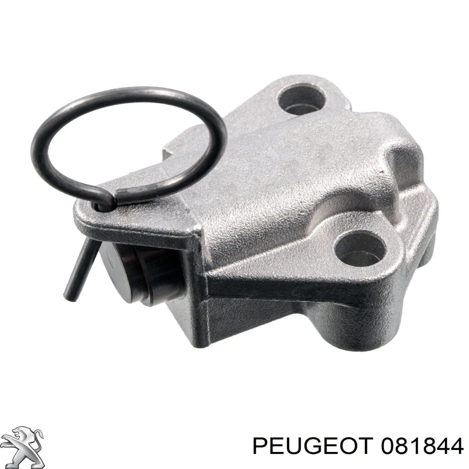 081844 Peugeot/Citroen натяжитель цепи грм
