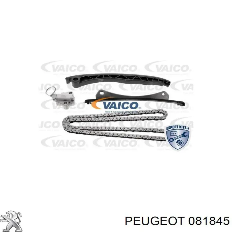 081845 Peugeot/Citroen успокоитель цепи грм
