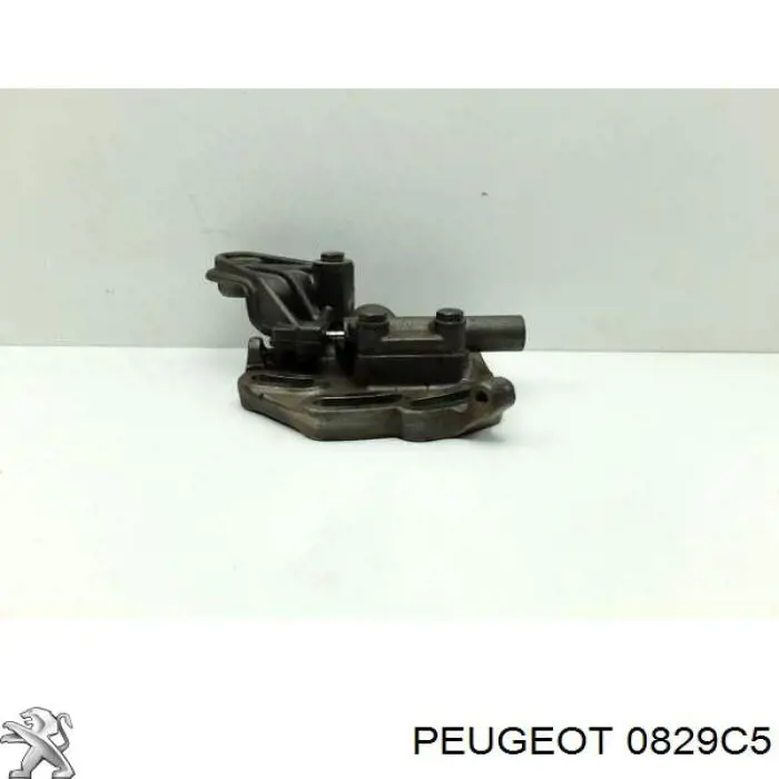Натяжной ролик ГРМ Peugeot/Citroen 0829C5