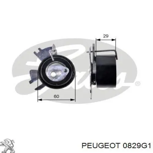Купить 0829G1 Peugeot/Citroen Ведуший ролик ГРМ