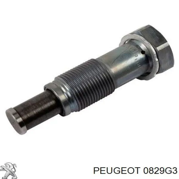 Tensor, cadena de distribución 0829G3 Peugeot/Citroen