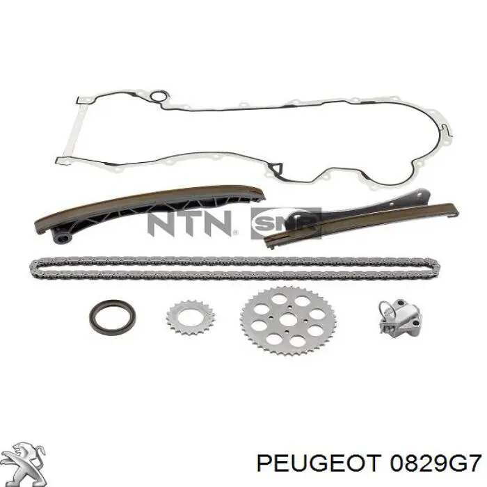 0829G7 Peugeot/Citroen башмак натяжителя цепи грм