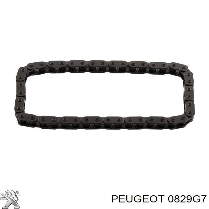 Башмак натяжителя цепи ГРМ Peugeot/Citroen 0829G7 цена, от 6.58 USD