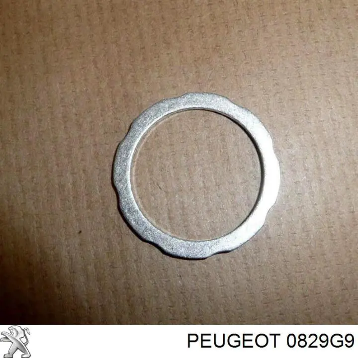 Прокладка натяжителя цепи ГРМ Peugeot/Citroen 0829G9 цена, от 0.17 USD