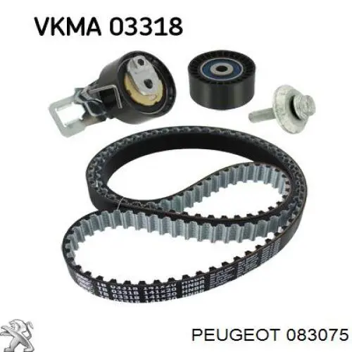 Купить 083075 Peugeot/Citroen Ведуший ролик ГРМ