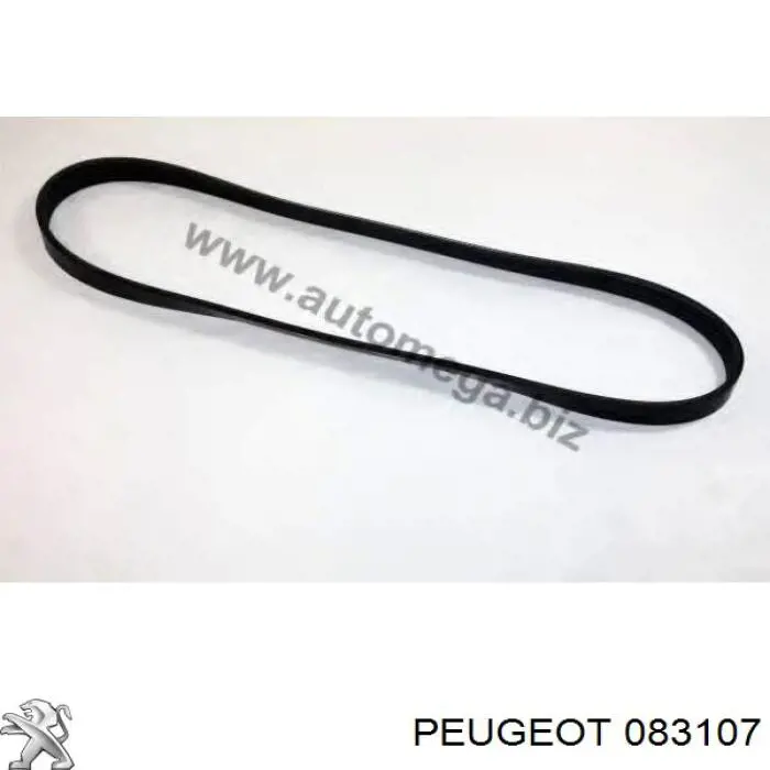 Купить 083107 Peugeot/Citroen Комплект ГРМ