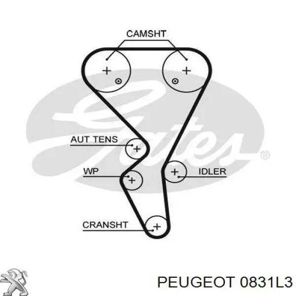 ГРМ ремни, комплект Peugeot/Citroen 0831L3 цена, от 63.79 USD