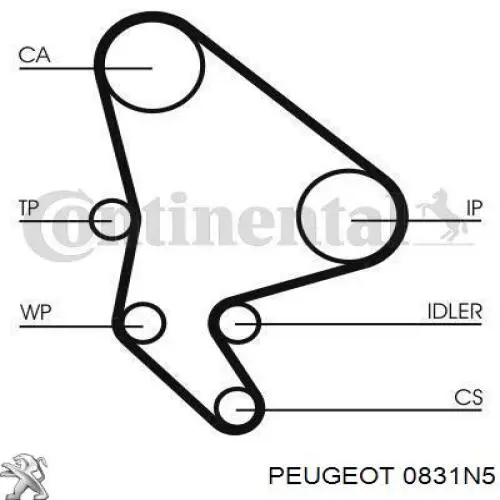 Комплект ГРМ 0831N5 Peugeot/Citroen