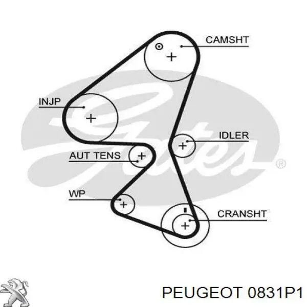 ГРМ ремни, комплект Peugeot/Citroen 0831P1 цена, от 65.93 USD