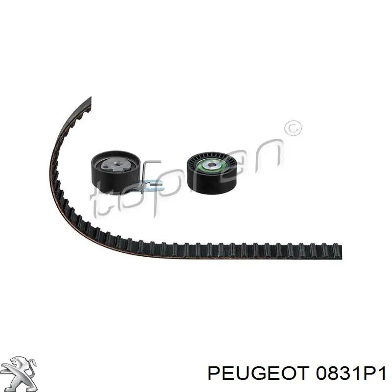 Комплект ГРМ 0831P1 Peugeot/Citroen