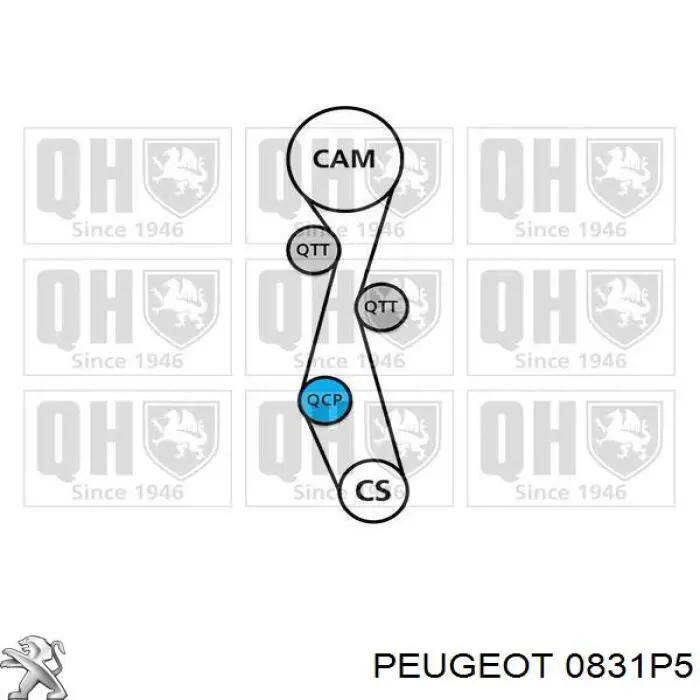Комплект ГРМ 0831P5 Peugeot/Citroen