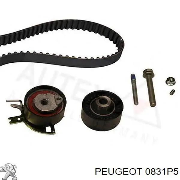 0831P5 Peugeot/Citroen комплект грм