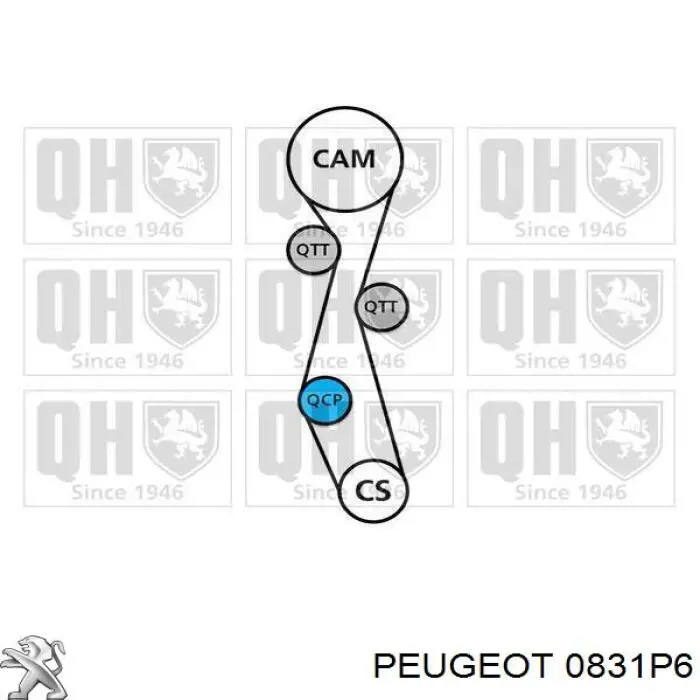 Комплект ГРМ 0831P6 Peugeot/Citroen